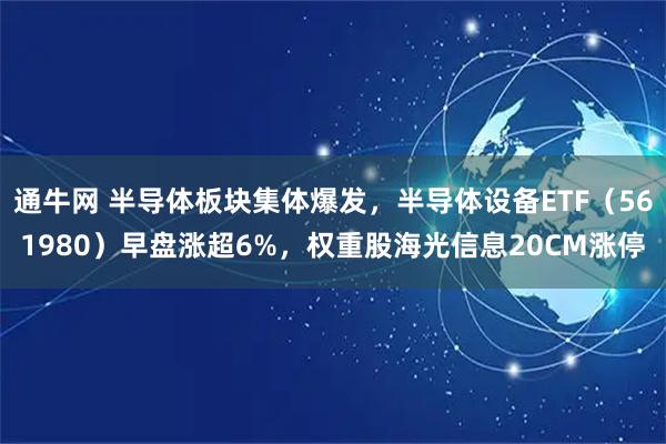 通牛网 半导体板块集体爆发，半导体设备ETF（561980）早盘涨超6%，权重股海光信息20CM涨停