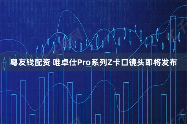 粤友钱配资 唯卓仕Pro系列Z卡口镜头即将发布