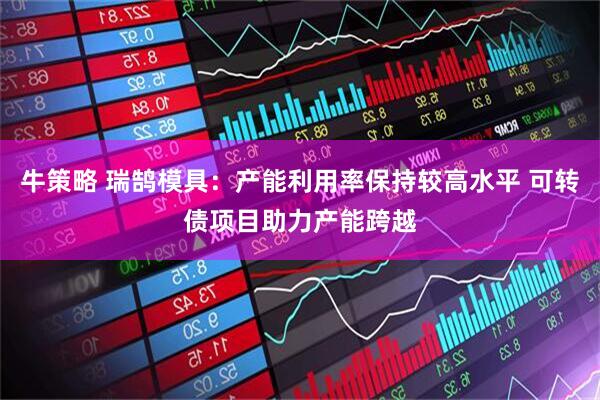 牛策略 瑞鹄模具：产能利用率保持较高水平 可转债项目助力产能跨越