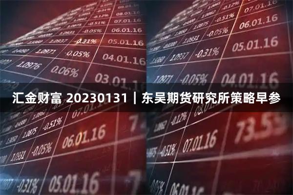 汇金财富 20230131｜东吴期货研究所策略早参