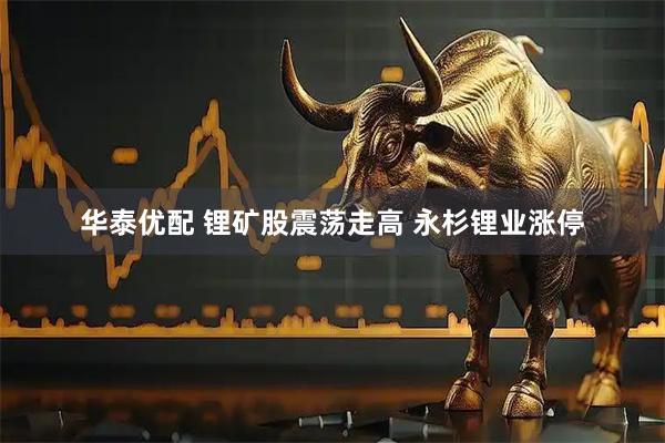 华泰优配 锂矿股震荡走高 永杉锂业涨停